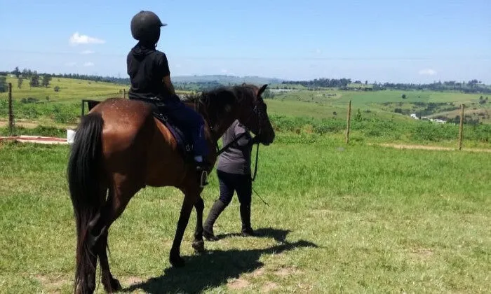 30-Minute Horseback Outride at Sunset Ridge Farm