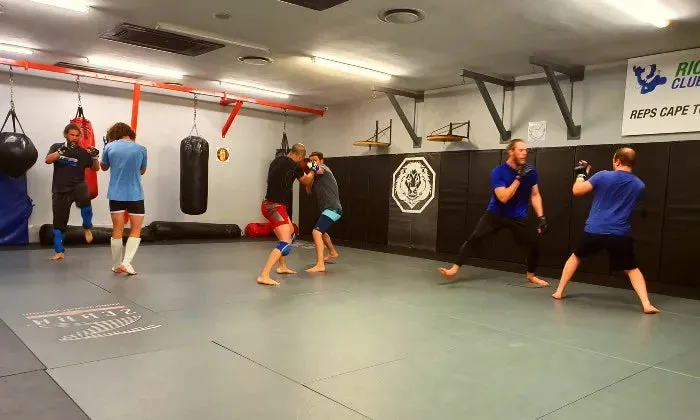 4 x MMA classes